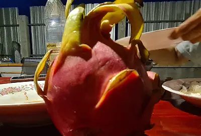 Le fruit du dragon en Thaïlande